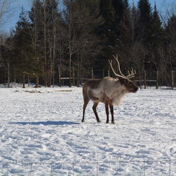 Parc Omega - Zoos Near Me - Montebello, Quebec