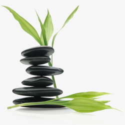 Soothing Oasis Massage