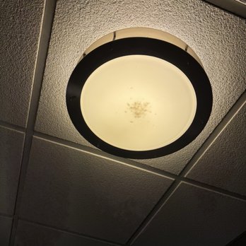 Residence Inn by Marriott Midland - Lots of dead bugs, in the light fixtures - Hotels Near Me - Midland, Michigan Residence Inn by Marriott Midland - Lots of dead bugs, in the light fixtures - Hotels Near Me - Midland, Michigan
