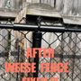 Weese Fence