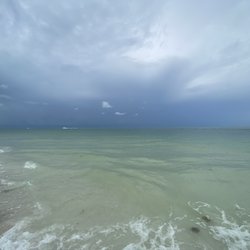 Shell Key Preserve
