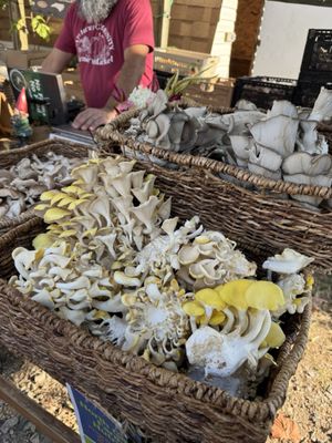 Matthews Community Farmers' Market by null