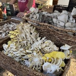 Matthews Community Farmers' Market