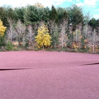 Glenstone - Art Museums Near Me - Potomac, Maryland