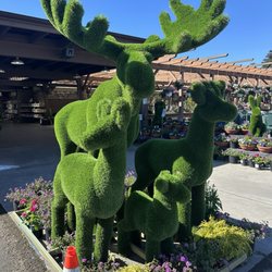 La Sumida Nursery - Hedge animals