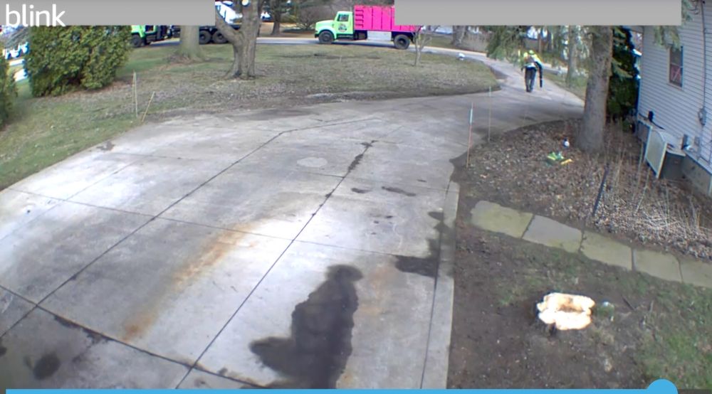 Gatorback Tree Service - tree service in Wickliffe, OH