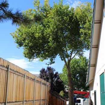 Eagle Tree Service - Tree Services Near Me Eagle Tree Service - Tree Services Near Me