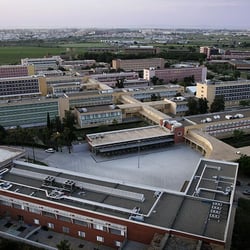 Pablo de Olavide - UPO - Foto del campus