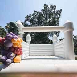 Modern Bounce