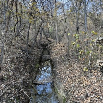 Arbor Hills Nature Preserve - Early December calm - Parks Near Me - Plano, Texas