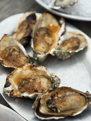 Hog Island Oyster Farm by null Hog Island Oyster Farm by null