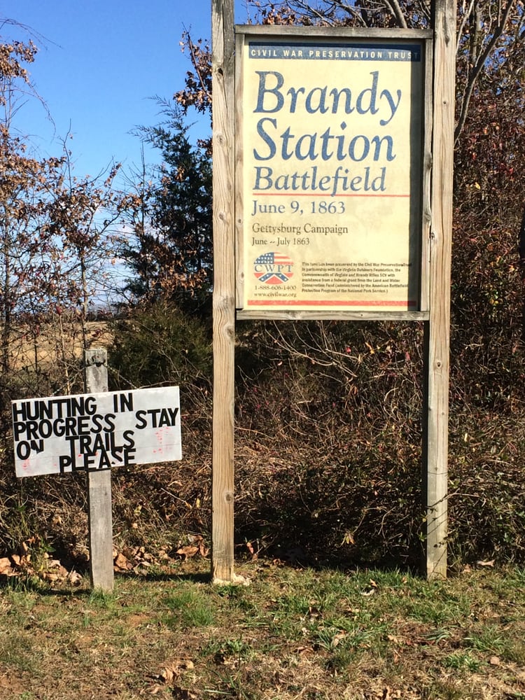 BRANDY STATION BATTLEFIELD, BUFORD’S KNOLL Updated May 2024 12279