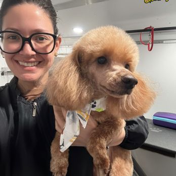 Outlet Mobile Pet Grooming - Meet the lovely Danielle! She's one of our talented groomers who can't wait to pamper your pups. - Pet Groomers Near Me Outlet Mobile Pet Grooming - Meet the lovely Danielle! She's one of our talented groomers who can't wait to pamper your pups. - Pet Groomers Near Me