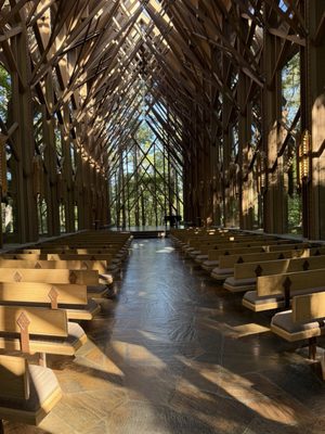 Garvan Woodland Gardens by null