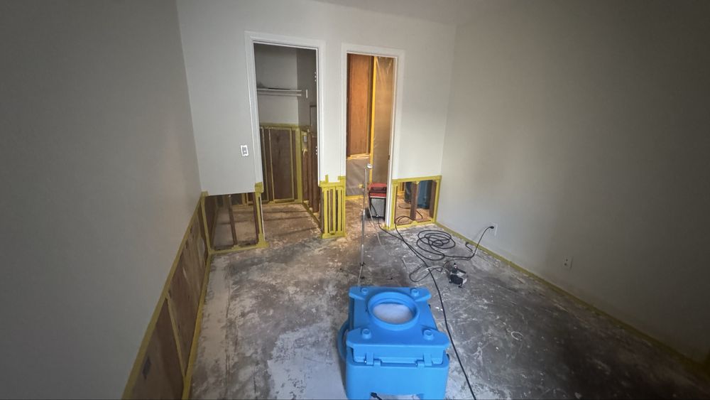 Black Mold Analysis - mold inspector in San Diego, CA