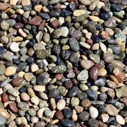 Martin Bros Supply - Mexican La Paz comes pre bagged, $25 a bag for 75lbs!