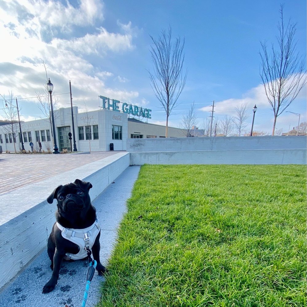 Bottleworks Hotel - Outdoor area for pups off of 10th Street. - Hotels Near Me - Indianapolis, Indiana