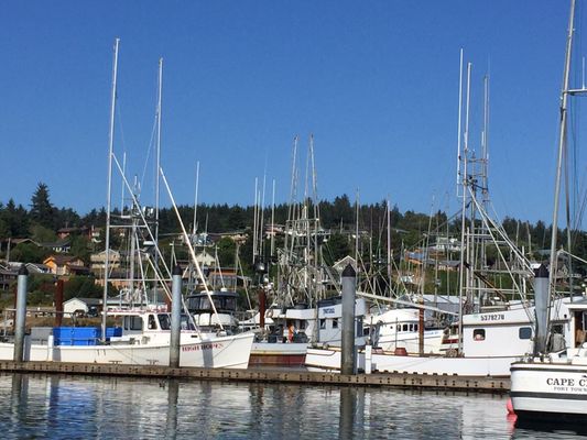 Port of Newport RV Park & Marina - South Beach by null