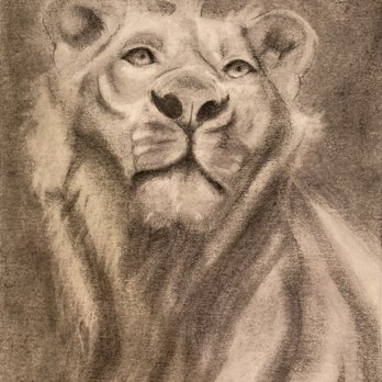 Drawn2Art - Charcoal age 11 - Art Schools Near Me - Chino Hills, California Drawn2Art - Charcoal age 11 - Art Schools Near Me - Chino Hills, California