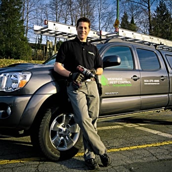 Westside Pest Control - Commercial, industrial and residential pest control solutions. - Pest Control Near Me - Coquitlam, British Columbia
