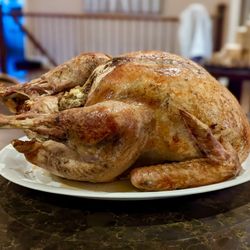 Nicholyn Farm - Turkey