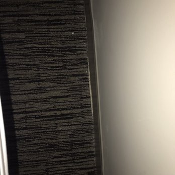 Austin Marriott North - The carpet not cut correctly :( - Hotels Near Me - Round Rock, Texas Austin Marriott North - The carpet not cut correctly :( - Hotels Near Me - Round Rock, Texas