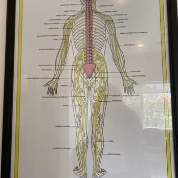 Monterey Chiropractic Care - Chiropractors Near Me - Monterey, California Monterey Chiropractic Care - Chiropractors Near Me - Monterey, California