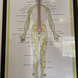 Monterey Chiropractic Care