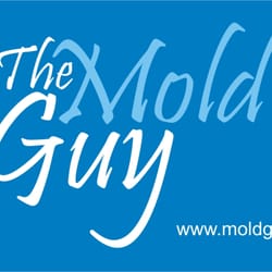 The Mold Guy