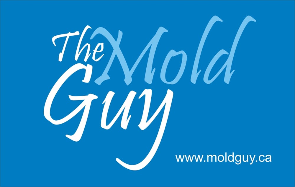 THE MOLD GUY Updated September 2024 437 Roncesvalles Avenue