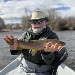 Montana Trout Wranglers - Big Hole River Brown trout caught fly fishing in Montana.