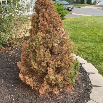 Barton Nursery - Nurseries & Gardening Near Me - Edison, New Jersey