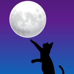 Jessica Kozlowski - Psychic Medium