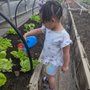 Highland Youth Garden