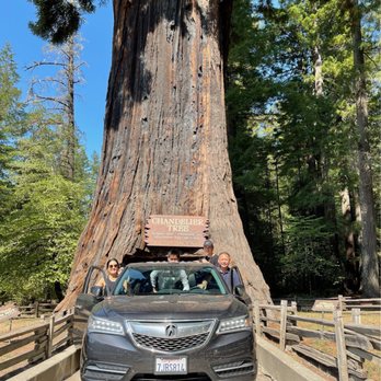 Drive-Thru Tree - Parks Near Me - Leggett, California Drive-Thru Tree - Parks Near Me - Leggett, California