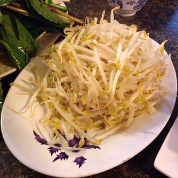 Pho 95 - Steamed Bean Sprouts that won't cool your hot broth down! - Vietnamese Near Me - Denver, Colorado Pho 95 - Steamed Bean Sprouts that won't cool your hot broth down! - Vietnamese Near Me - Denver, Colorado