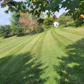 Covington's lawncare - a view of a lawn with a mowed edge - Lawn Services Near Me Covington's lawncare - a view of a lawn with a mowed edge - Lawn Services Near Me