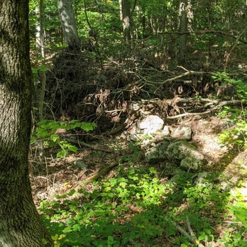 Above All State Park - Parks Near Me - Warren, Connecticut