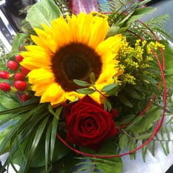 Gänseblümchen Blumenfachgeschäft