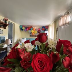 Sheltons On the Island - Surprise birthday