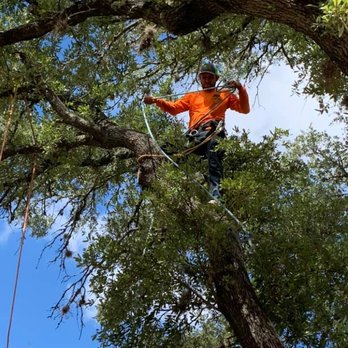 Rosas Tree Services - Tree Services Near Me - Leander, Texas