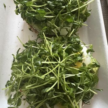 Olive & Rose - Avocado Bagel - French Near Me - Long Beach, California