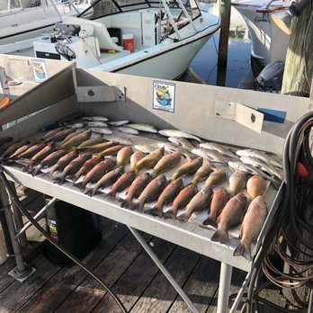 Sea Dog Charters - Catch of the Day with Captain Jim. Excellent day for inshore fishing. Look forward to better weather next tim for Offshore fishing. - Boating Near Me - Marathon, Florida Sea Dog Charters - Catch of the Day with Captain Jim. Excellent day for inshore fishing. Look forward to better weather next tim for Offshore fishing. - Boating Near Me - Marathon, Florida