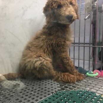 Pets Plus - Pet Stores Near Me - Stafford, Virginia Pets Plus - Pet Stores Near Me - Stafford, Virginia