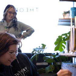 Theory Wellness - Brattleboro