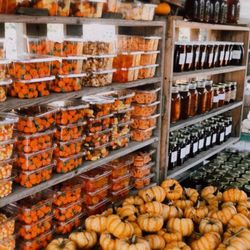 Hawk's Pumpkin Patch - Everything pumpkin!