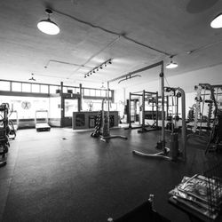 Whole Body Fitness