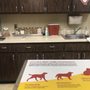 Photo of Pottsburg Creek Animal Clinic