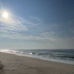 Tobay Beach - Tobay Beach (8/12/23)