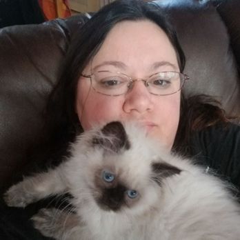 Furry Dream - Squishee loves hanging on mommy - Pet Adoption Near Me - Brooklyn, New York